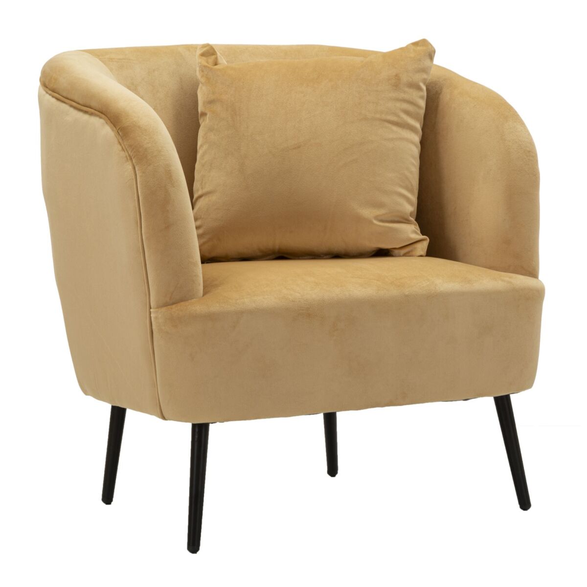 ARMCHAIR BROWY WITH CUSHIONS CM 73X66X78