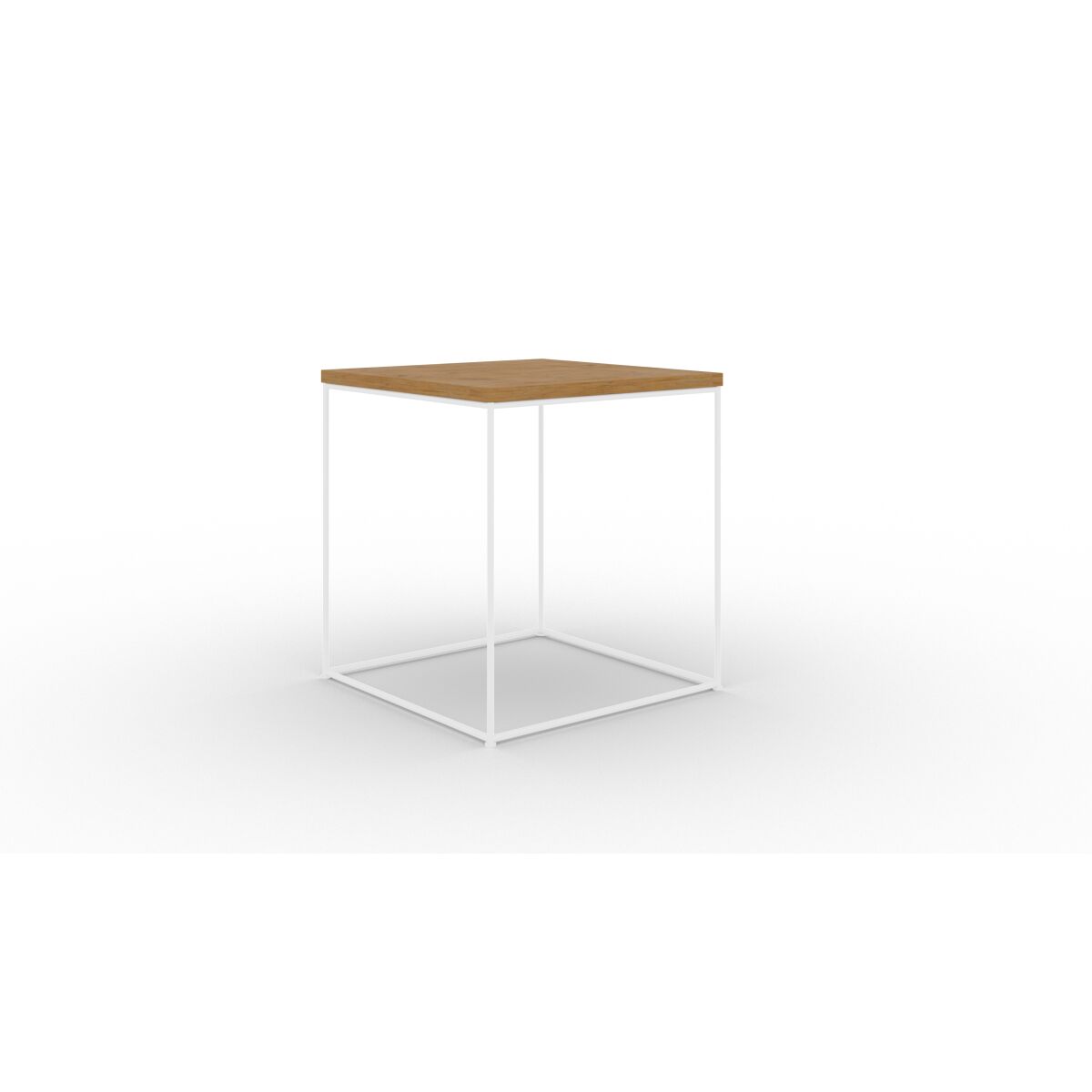 White + Lancelot oak