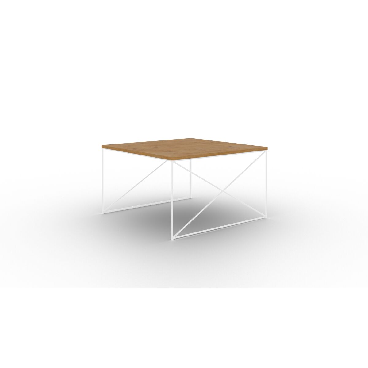 White + Lancelot oak