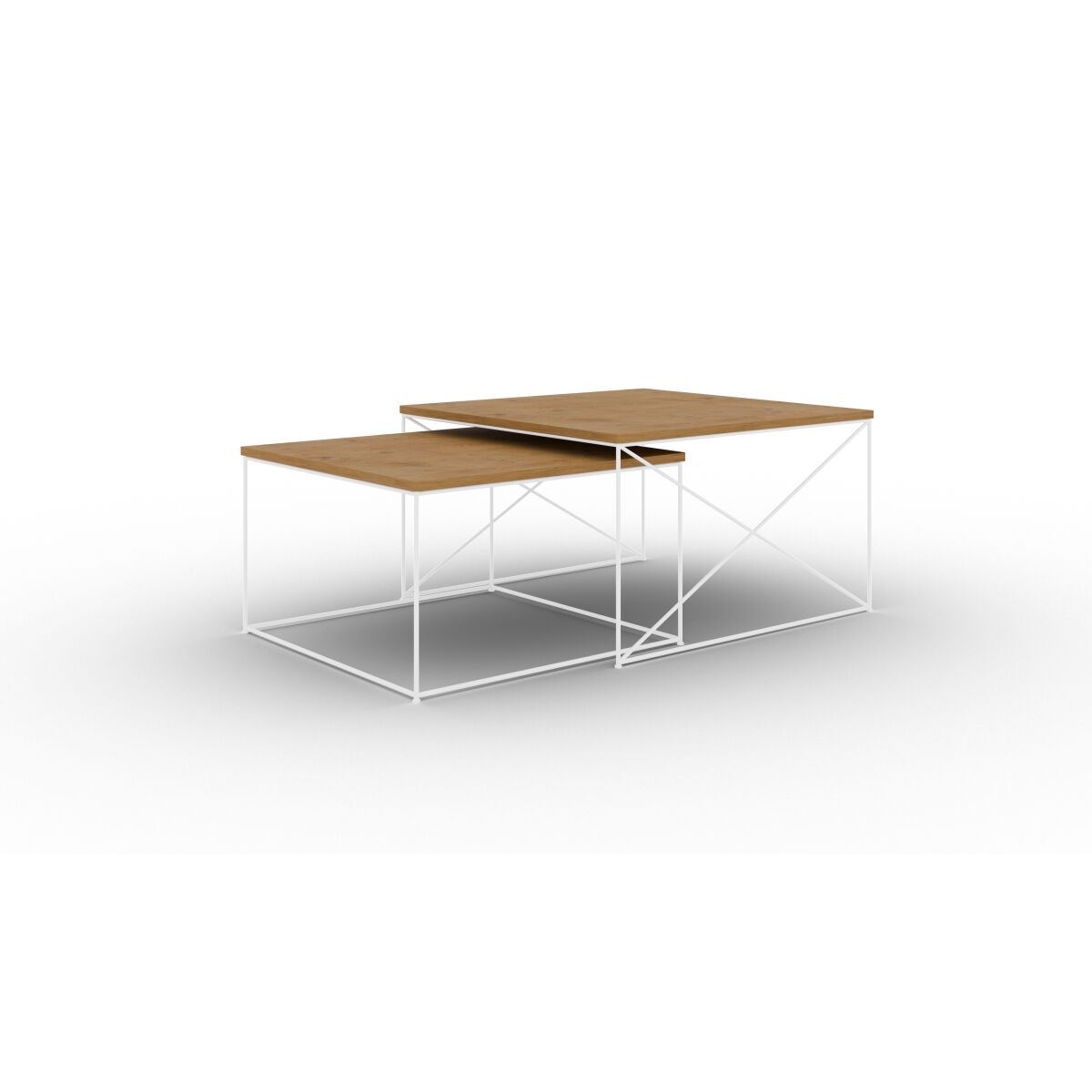 White + Lancelot oak