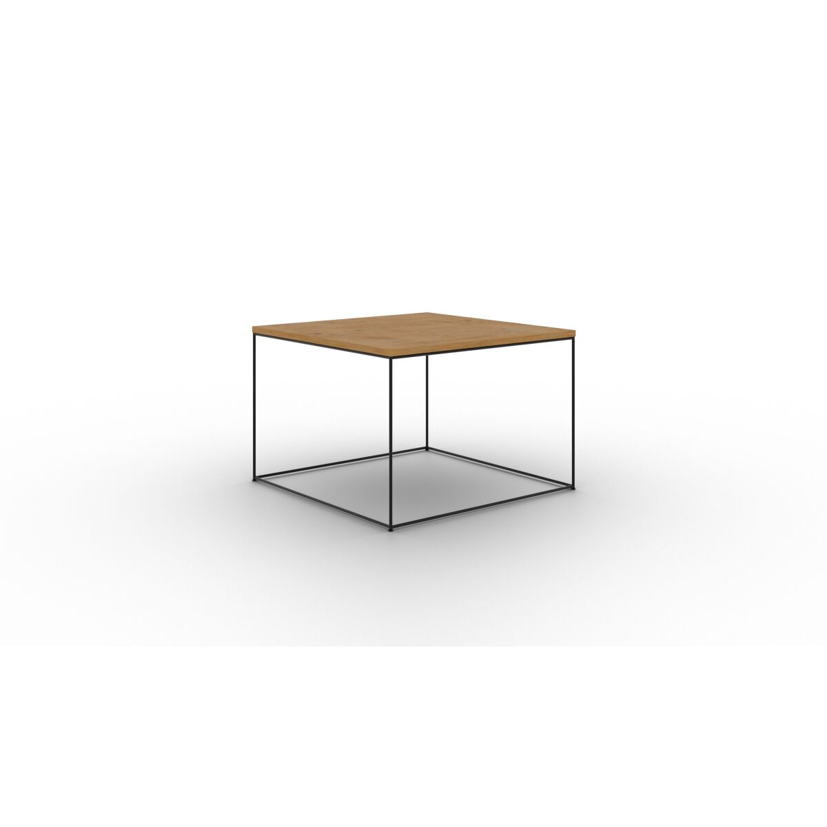 Black + Lancelot oak