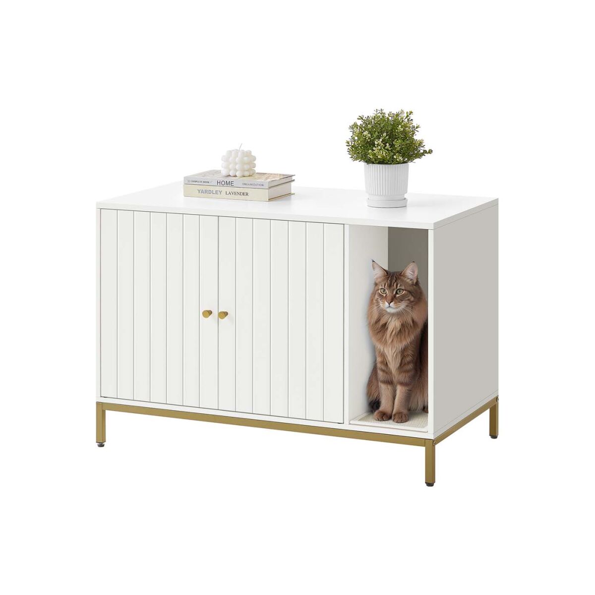Kassiliivakasti Kapp Kraapimisvaibaga 90 x 48 x 61,5 cm Valge-Kuld