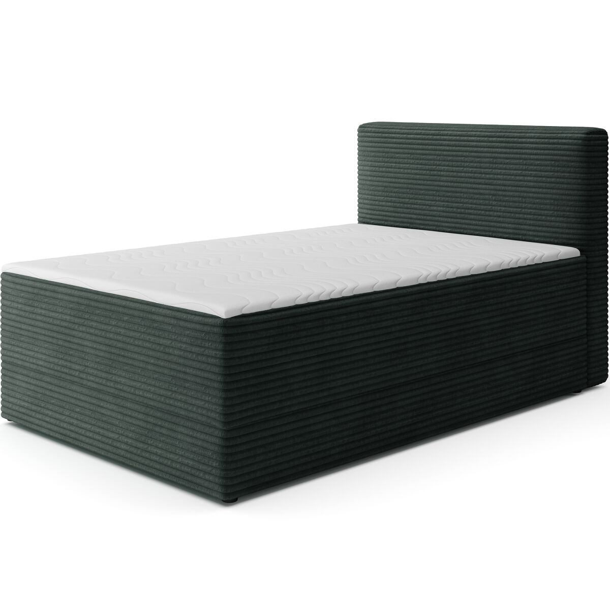 Kontinentaalvoodi Alamito panipaigaga