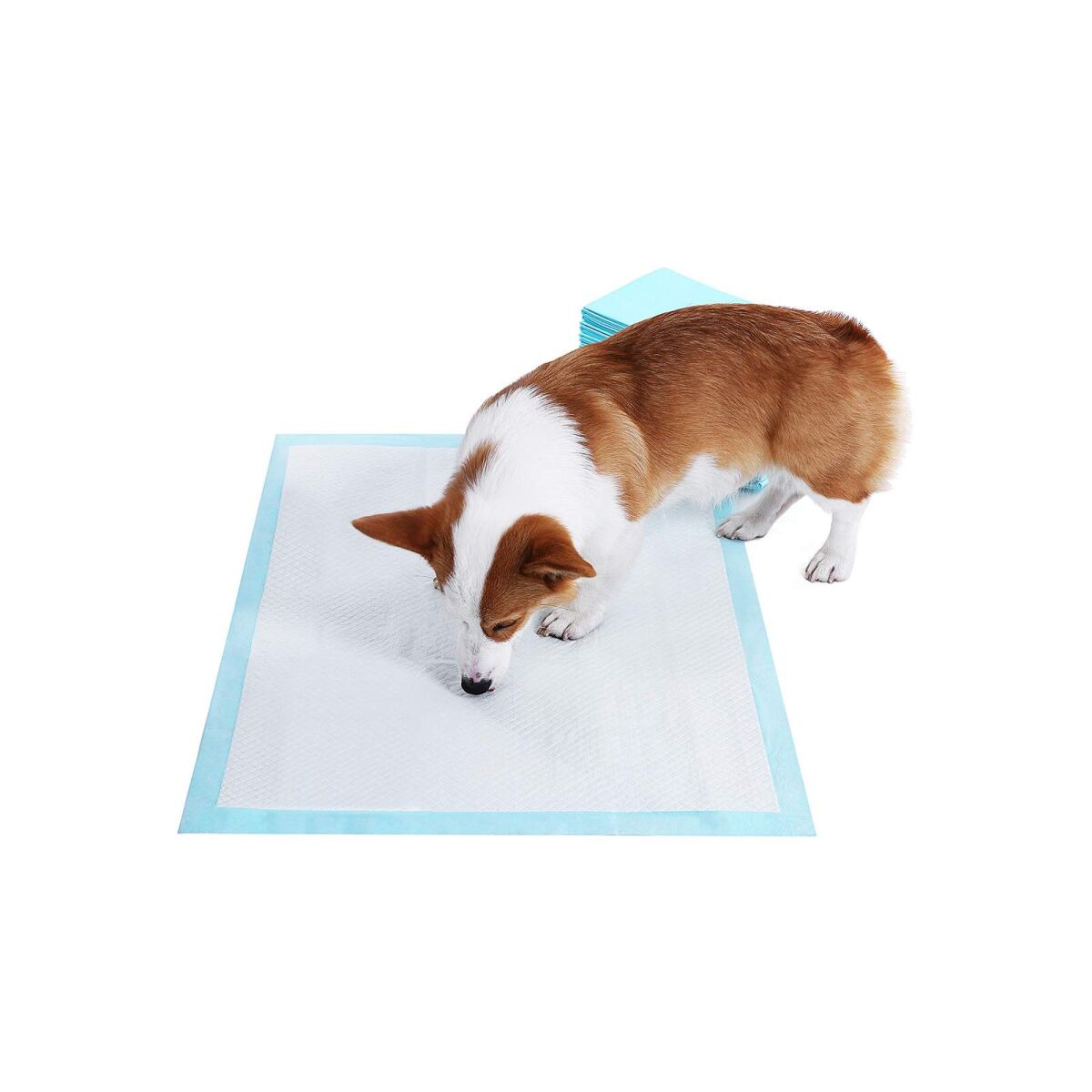 Puppy Hygiene Pads 60 x 90 cm, Pack of 100